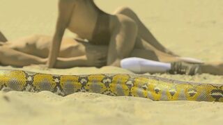 Naked Art Outdoor  ❤️ Two Girls on the Sand