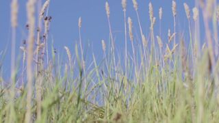 Nudity Outdoors ❥ Girl❤️Wind