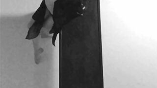 Topless on Stage Story ❥ Black & White