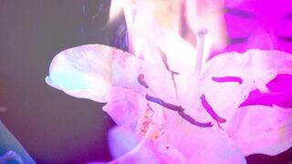 Erotic on Stage ☉  ☉ Art Flame Lily