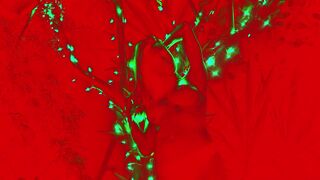 Topless Music Shooting ❥ Naked Predator