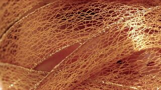 Nothing Nude ❤️ Spirit Catcher ❤️ Erotic Art Clip