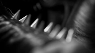 Fashion and Rock ❤️ Naked Studio Art