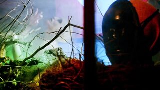 Angelica Ulloa topless - Moon Garden (2022) Music Nude Clip