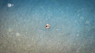 Pia-Micaela Barucki hot - Ein Sommer am Gardasee (2022) Underwater Nude Scene