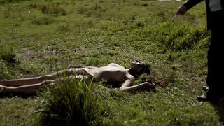 Valeriya Bogdanova nude. Ten Chikatilo s01e07 (2024)