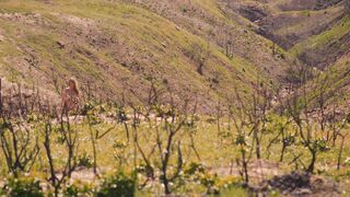 Silvia Spross nude. Old Ones (2024) Explicit Nudity Scene