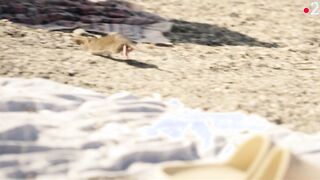 Constance Bascou Nude. La peste s01e01e04 (2024) erotic movie scenes