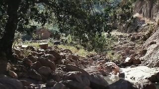 Vicky Krieps sexy. The Dead Don't Hurt (2023). Hot Movie Scene