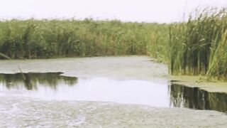 Meda Andreea Victor nude. The Trip - Excursia (2022)