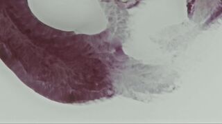 Nikolitsa Ntrizi hot bath scene. Maneki Neko (2017)