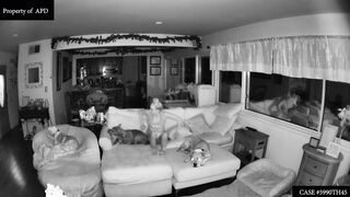 Victoria Vertuga Nudity. Full Frontal Hidden Cam Scenes