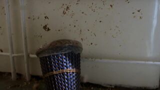 Eszter Bagaméri, Anna Györgyi nude. Guarded Secrets (2004)