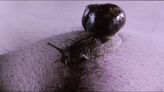 Outdoors Nudity Scene. Anna Gorynsztejn naked. Belle de nature (2009)