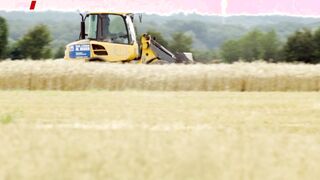 Charlotte Brand, Nadine Arents - Heiter bis tödlich - Henker _ Richter s01e07 (2011) nudity movie scenes