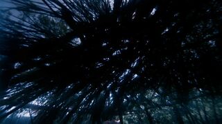 Ewa Swann nude - The Mad Heart (1970) Bathroom Scene