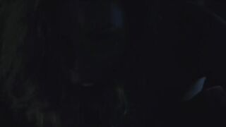 Lise Schreiber nude. Explicit Sex. Hugo... (2010)