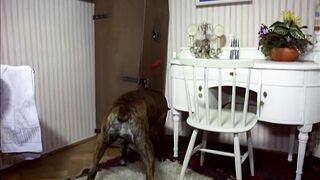 German Vintage Nudity Scene. Ich betone oben ohne - Das Go Go Girl vom Blow Up (1969)