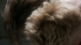 Sheryl Lee nude, Finola Geraghty topless. Backbeat (1994) Perfect Tits