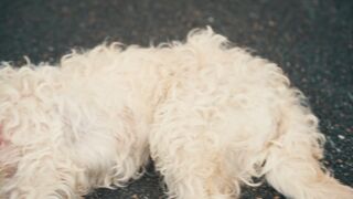 Bettina Zimmermann nackt - Zwei Frauen fur alle Felle (2025)  s01e10 - Hot Scene