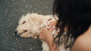 Bettina Zimmermann nackt - Zwei Frauen fur alle Felle (2025)  s01e10 - Hot Scene
