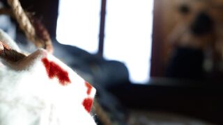 Megan Lawless, Katya Martin hot - The Death That Awaits (2024) Scene in the Shower